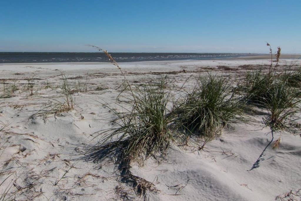 Pelican Point Unobstructed Beach Views Beach Access Out Back Door! Harbor Island Εξωτερικό φωτογραφία